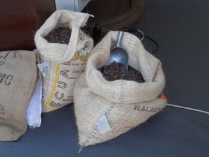 Cocoa beans